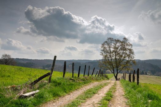 Panoramic landscape along the long distance hiking trail Bergischer Panoramasteig, Bergisches Land, Germany