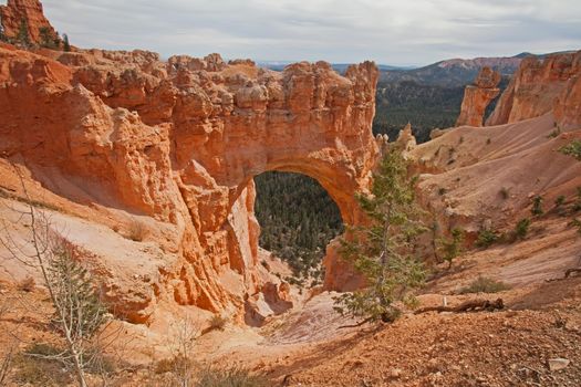 View over Bryce Canyon from The Natural Bridge