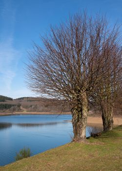 Panoramic image of Dhunn water reservoir, Bergisches Land, Germany