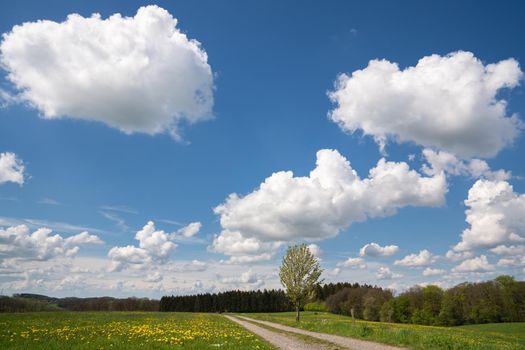 Panoramic landscape of hiking trail throught meadows with clouds and blue sky at springtime, Bergisches Land, Germany