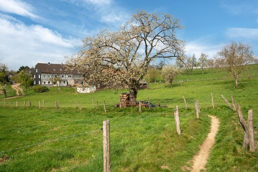 Panoramic landscape along the long distance hiking trail Bergischer Panoramasteig, Bergisches Land, Germany