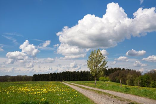 Panoramic landscape of hiking trail throught meadows with clouds and blue sky at springtime, Bergisches Land, Germany