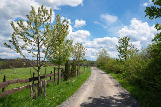 Panoramic landscape of meadow with clouds and blue sky at springtime, Bergisches Land, Germany