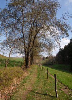Panoramic landscape along the long distance hiking trail Bergischer Panoramasteig, Bergisches Land, Germany