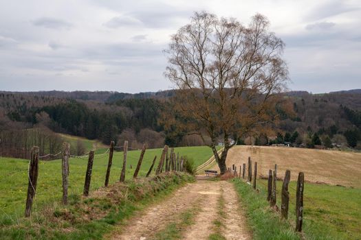 Panoramic landscape along the long distance hiking trail Bergischer Panoramasteig, Bergisches Land, Germany