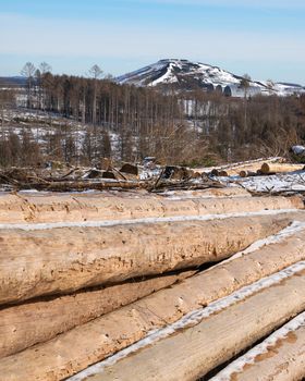 Panoramic image of cleared forest, forest dieback in North Rhine Westphalia, Germany 