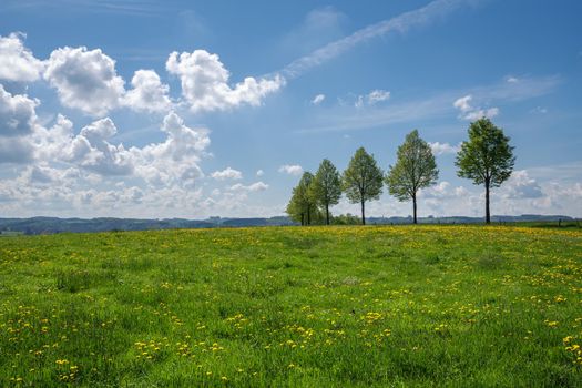 Panoramic landscape of meadow with clouds and blue sky at springtime, Bergisches Land, Germany