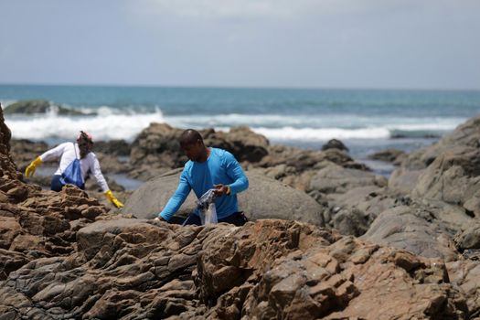 salvador, bahia, brazil - october 20, 2019: volunteers clean up oil at Jardim de Alah beach in the city of Salvador. The site was affected by an oil spill off the coast of Bahia.