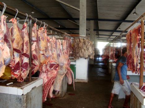 ubata, bahia, brazil - october 5, 2011: bovine meat for sale without refrigation in a meat market in the city of Ubata.