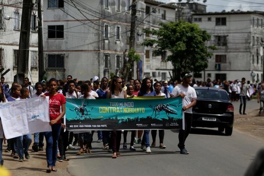 salvador, bahia, brazil - november 30, 2018: Students from the public school during a march in Salvador to raise awareness of the dangers of Aedes aegypti, a mosquito that causes dengue and zica.
