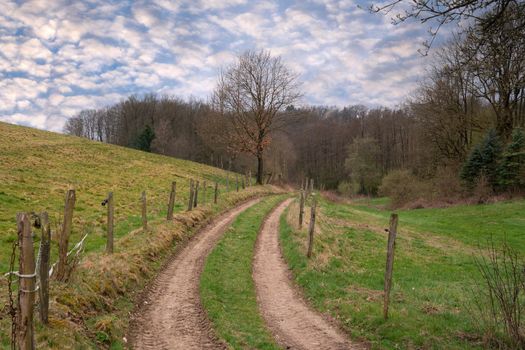 Panoramic landscape along the long distance hiking trail Bergischer Panoramasteig, Bergisches Land, Germany