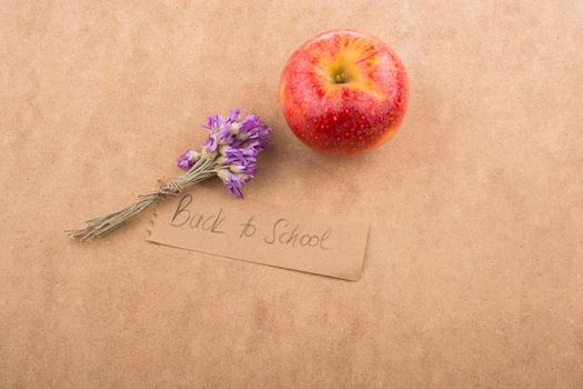 Back to school lettering with an apple and flower