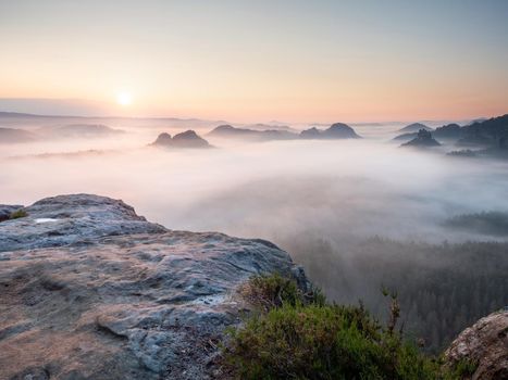 Cold misty foggy morning in a fall valley of Saxon Switzerland nature park. Hills in heavy mist