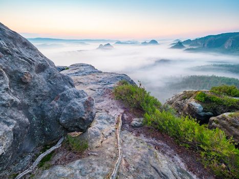 Misty wake up of misty landscape. Picturesque sunrise and a foggy morning in the Bad Schandau nature park region, Europe