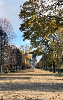 Avenue of trees in autumn leading to the Musee du Louvre in Paris France. High quality photo
