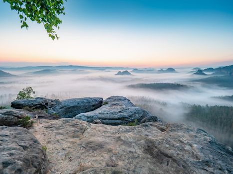 Fantastic dreamy sunrise on top of rocky mountain with view into Grosser Zschand valley full of creamy mist. Mountain view. Foggy mountain park. Dreamy forrest