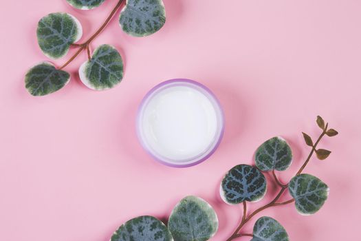 Mockup cosmetic jar with cream or lotion and leaf isolated on pink background, mock up package for advertising, skincare or cosmetology, top view, flat lay, skin care and treatment with product.