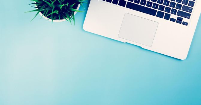 Flat lay of Laptop computer and plant on desk in office, workplace and notebook and keyboard and potted tree, workspace and copy space, top view, object with above, nobody, business concept.