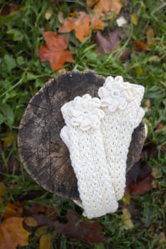 White mittens on tree stump in autumn park.