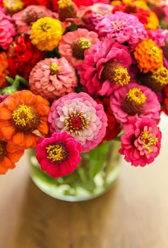 Beautiful bright colorful zinnia flowers in a bouquet. Ornamental plants.