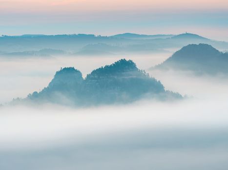 Morning foggy valley, hills and trees on blue mist, calm landscape before sunrise.