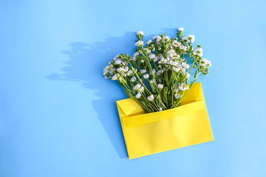 Yellow paper envelope with small garden white chamomile flowers on light blue background. Festive floral template. Greeting card design. Top view.