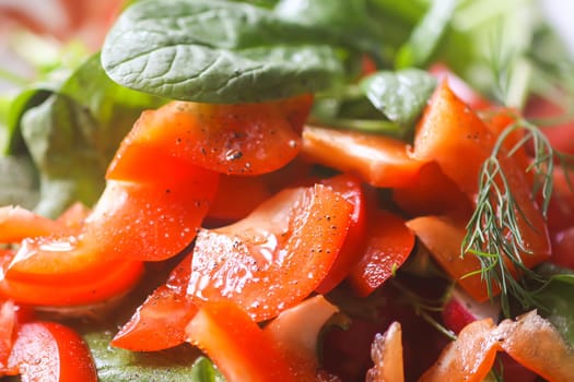 Fresh salad of the red tomatoes and spinach with olive oil, salt and pepper