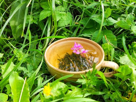 Natural herbal tea with medical fireweed fresh purple flowers and leaves in ceramic cup on green summer grass.