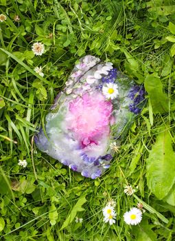 Ice cube with different summer flowers on green grass at summer.