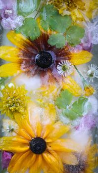 Ice cube with different summer flowers on green grass at summer.