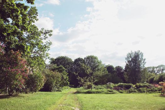 Spring landscape. Scenic view of green trees and meadows in a park in sunlight.