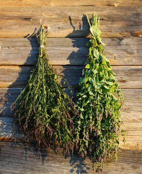 Fresh blooming mint plants with purple flowers on wooden wall background