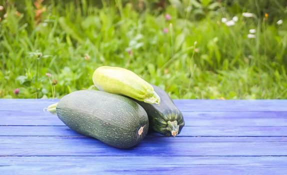 Zucchini vegetables on wooden boards outdoors.