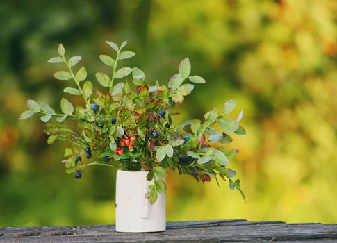 Bouquet of ripe wild forest blueberry and cranberry plants in the wooden vase.