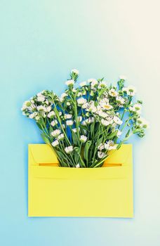 Yellow paper envelope with small garden white chamomile flowers on light blue background. Festive floral template. Greeting card design. Top view. Vertical shot. Vintage style.