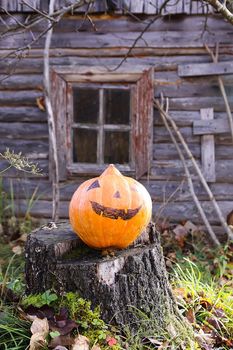 Funny Halloween pumpkin in autumn park with fall leaves on old weathered wooden bathhouse background.