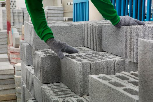 Bricks used in the construction