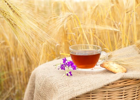 Homemade oatmeal cookies  with a cup of tea on canvas and wheat background.