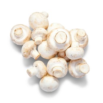 champignon mushroom. Isolated over white with clipping path