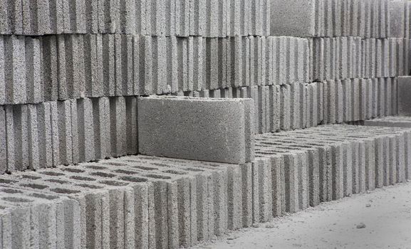 Bricks used in the construction