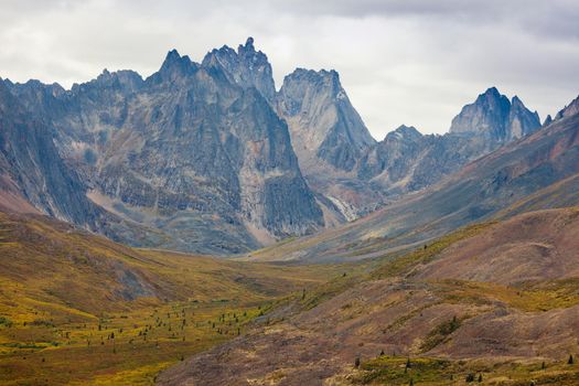 Autumn fall colors start to arrive in Tombstone Territorial Park near Dempster Highway north of Dawson City, Yukon Territory, Canada