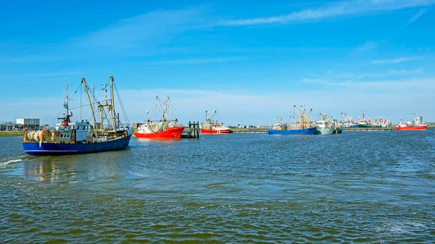 Fishing boats in the harbor from Lauwersoog in the Netherlands