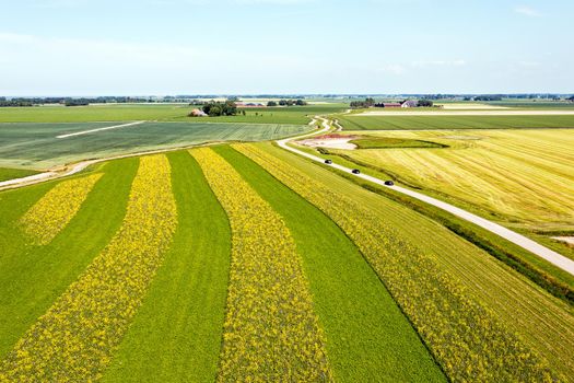 Aerial from rapeseed fields in Friesland the Netherlands