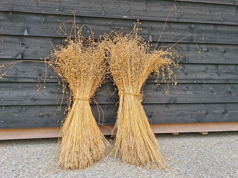 Sheaves of wheat 