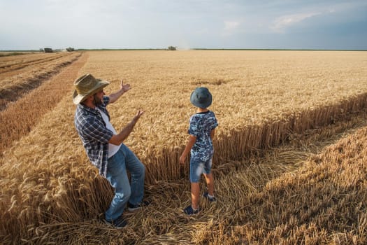 Farmers are standing in their wheat field while the harvesting is taking place. Father is teaching his son about agriculture.