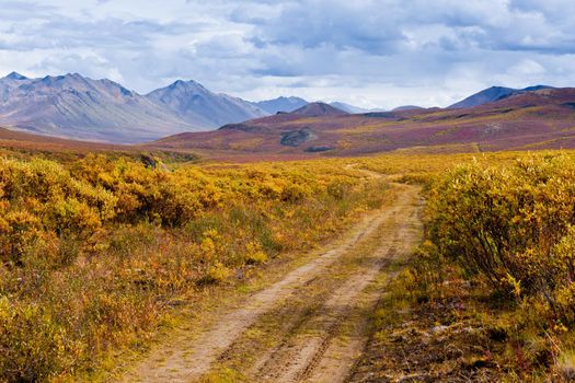 Autumn fall colors in mountain tundra of Tombstone Territorial Park near Dempster Highway north of Dawson City, Yukon Territory, Canada