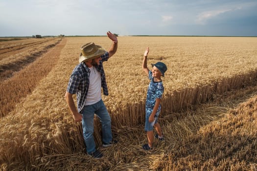 Farmers are standing in their wheat field while the harvesting is taking place. Father is teaching his son about agriculture.