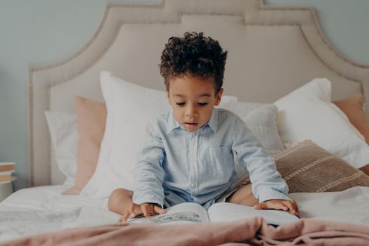 Intrigued cute afro american boy preschool child with curly hair reading book or exploring pictures inside while sitting comfortably on bed, making surprised expression. Children development concept