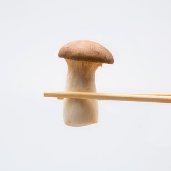 King Oyster mushrooms isolated on white background