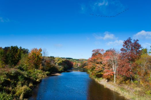 Fall colors and migrating geese at Pictou East River, Pictou County, Nova Scotia, NS, Canada